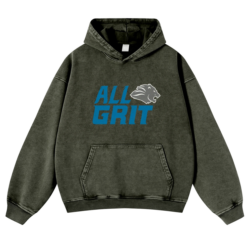 Casual Washed Hoodie Detroit Lions