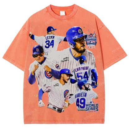 2016 WORLD SERIES CHAMPS - CUBS TEE - [DS]