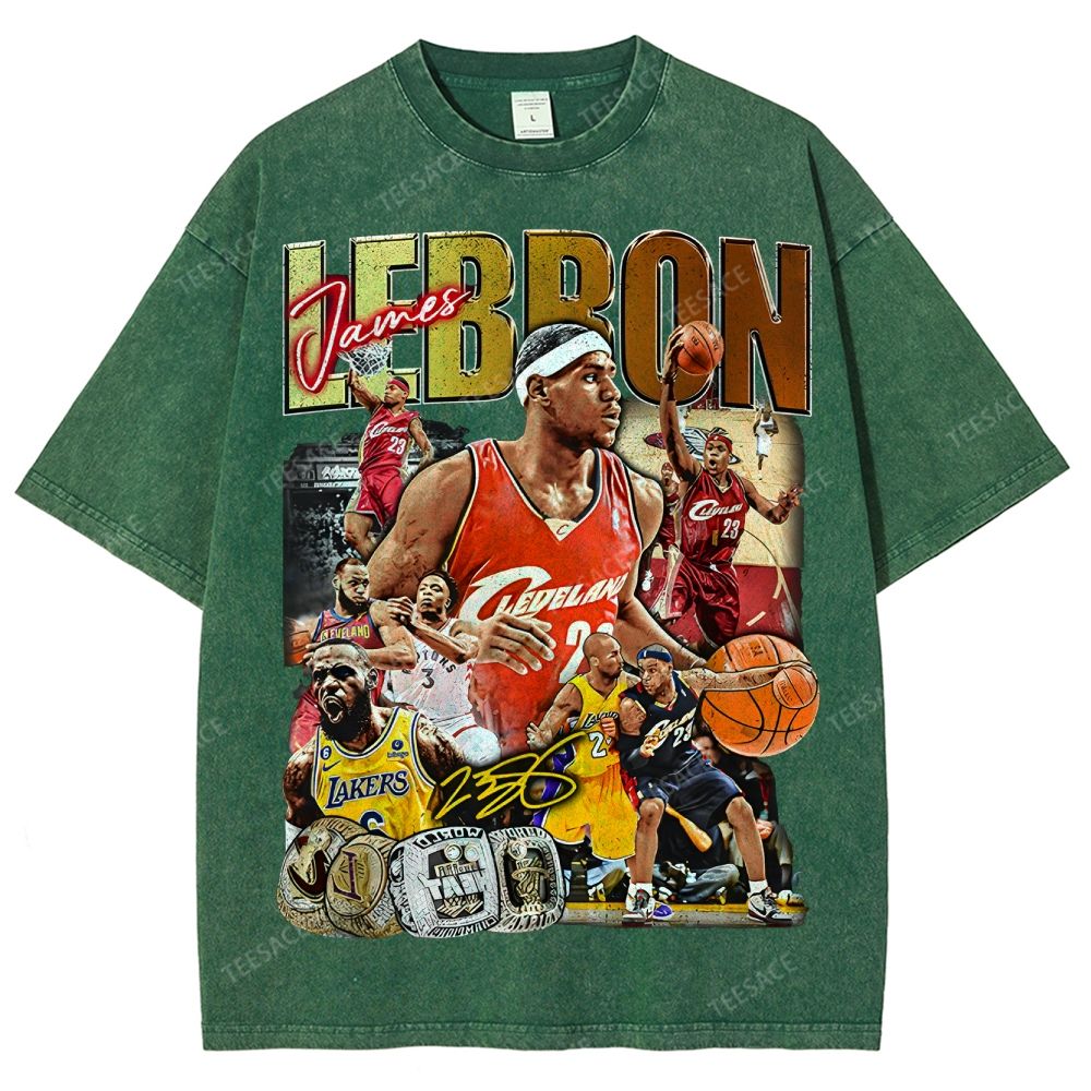 Unisex Fit Washed LeBron James T-Shirt 2504014037