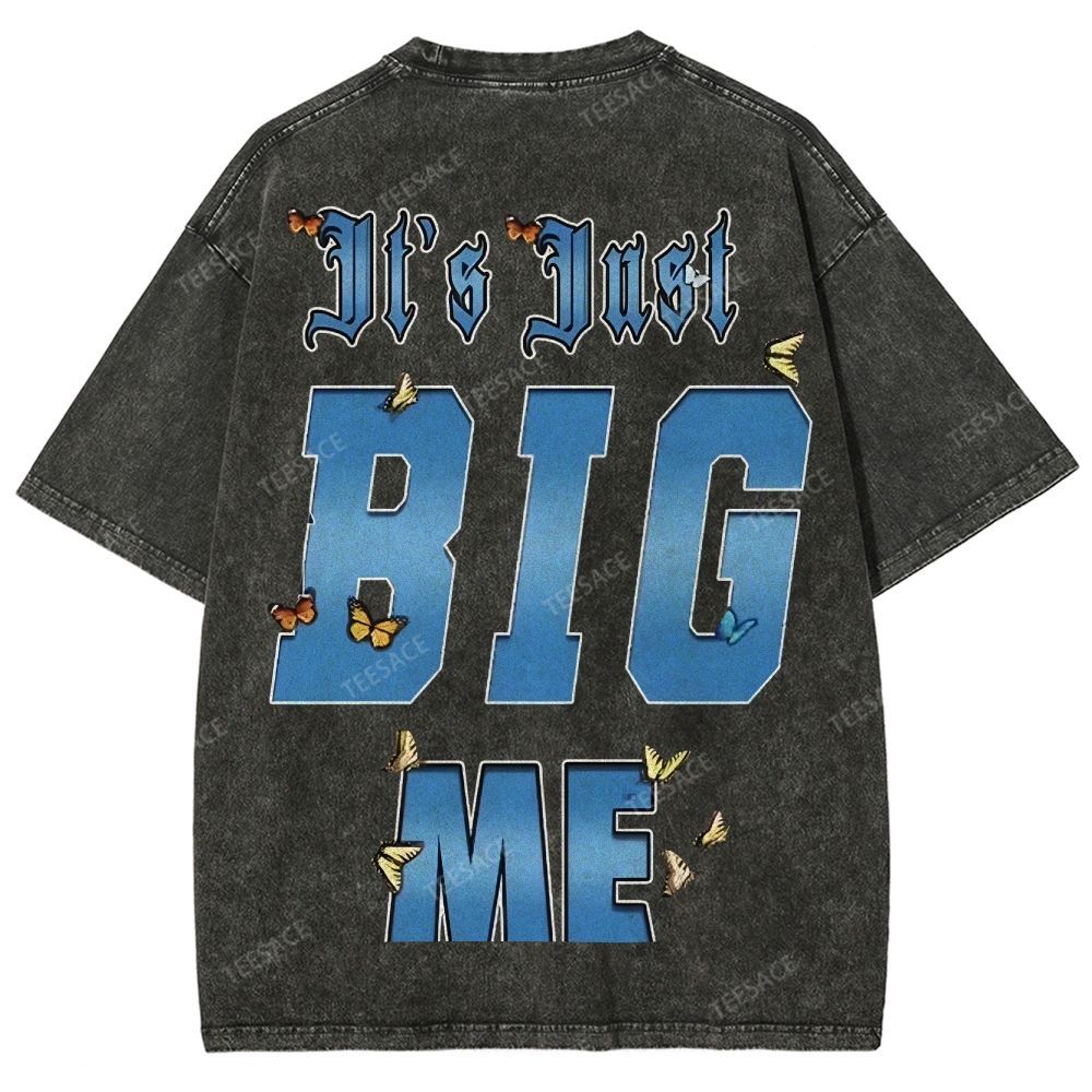 Unisex-Adult Ultra Cotton Washed T-Shirt Graphic  KENDRICK LAMAR- IT'S JUST BIG ME V2 TEE