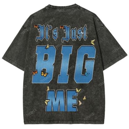 Unisex-Adult Ultra Cotton Washed T-Shirt Graphic  KENDRICK LAMAR- IT'S JUST BIG ME V2 TEE