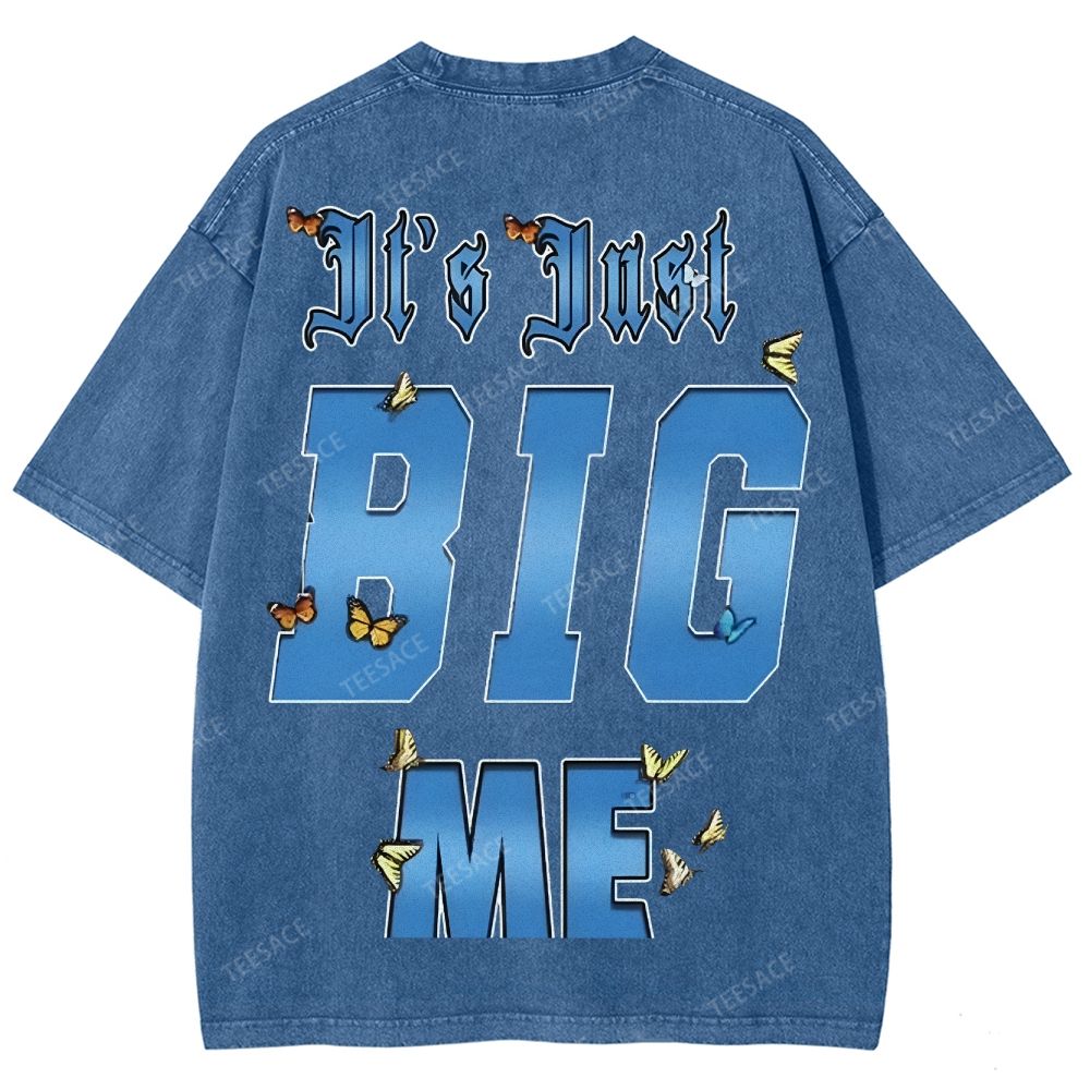 Unisex-Adult Ultra Cotton Washed T-Shirt Graphic  KENDRICK LAMAR- IT'S JUST BIG ME V2 TEE