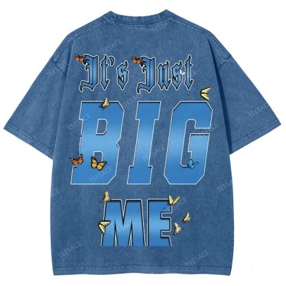 Unisex-Adult Ultra Cotton Washed T-Shirt Graphic  KENDRICK LAMAR- IT'S JUST BIG ME V2 TEE