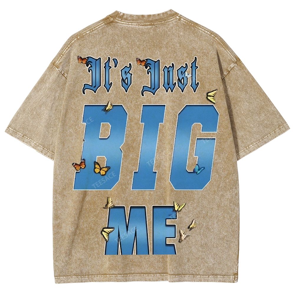 Unisex-Adult Ultra Cotton Washed T-Shirt Graphic  KENDRICK LAMAR- IT'S JUST BIG ME V2 TEE