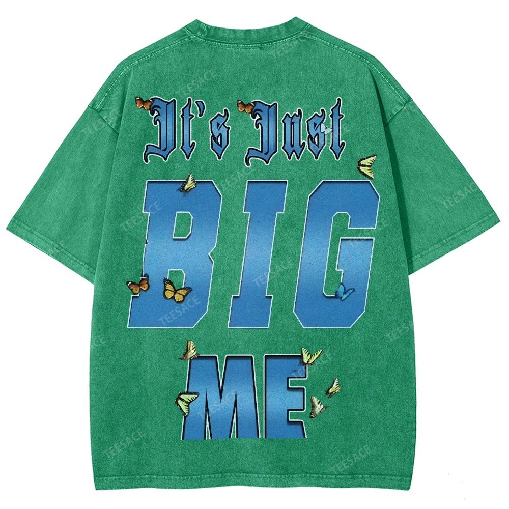 Unisex-Adult Ultra Cotton Washed T-Shirt Graphic  KENDRICK LAMAR- IT'S JUST BIG ME V2 TEE