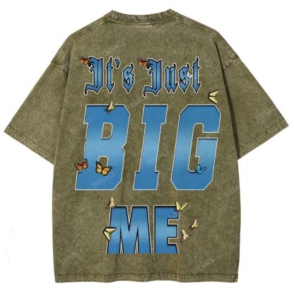 Unisex-Adult Ultra Cotton Washed T-Shirt Graphic  KENDRICK LAMAR- IT'S JUST BIG ME V2 TEE