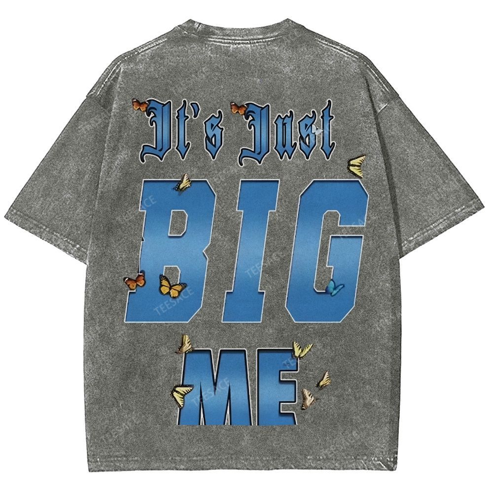 Unisex-Adult Ultra Cotton Washed T-Shirt Graphic  KENDRICK LAMAR- IT'S JUST BIG ME V2 TEE