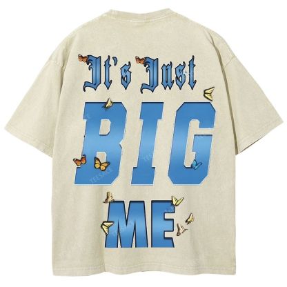 Unisex-Adult Ultra Cotton Washed T-Shirt Graphic  KENDRICK LAMAR- IT'S JUST BIG ME V2 TEE