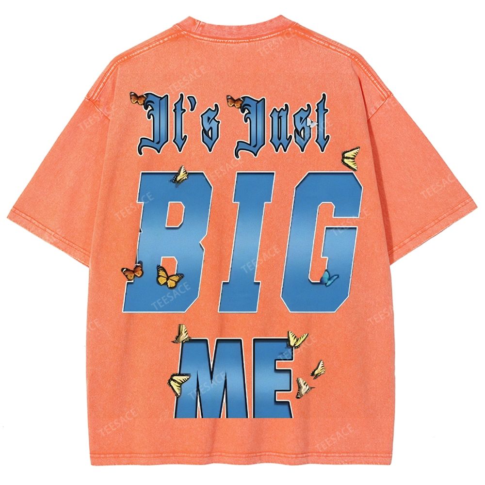 Unisex-Adult Ultra Cotton Washed T-Shirt Graphic  KENDRICK LAMAR- IT'S JUST BIG ME V2 TEE