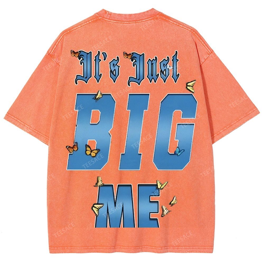 Unisex-Adult Ultra Cotton Washed T-Shirt Graphic  KENDRICK LAMAR- IT'S JUST BIG ME V2 TEE