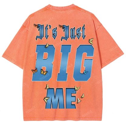 Unisex-Adult Ultra Cotton Washed T-Shirt Graphic  KENDRICK LAMAR- IT'S JUST BIG ME V2 TEE