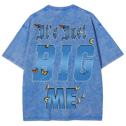 Unisex-Adult Ultra Cotton Washed T-Shirt Graphic  KENDRICK LAMAR- IT'S JUST BIG ME V2 TEE