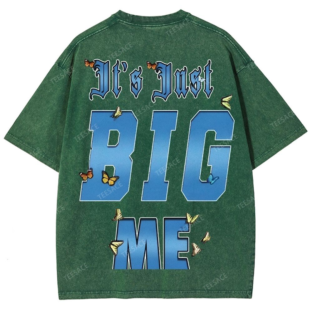 Unisex-Adult Ultra Cotton Washed T-Shirt Graphic  KENDRICK LAMAR- IT'S JUST BIG ME V2 TEE