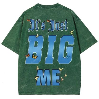 Unisex-Adult Ultra Cotton Washed T-Shirt Graphic  KENDRICK LAMAR- IT'S JUST BIG ME V2 TEE