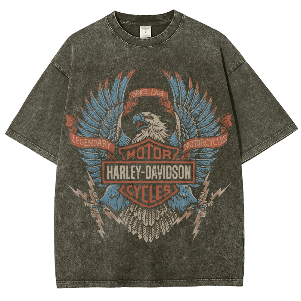 Unisex Fit Washed T-Shirt HARLEY DAVIDSON ELECTRIC EAGLE 