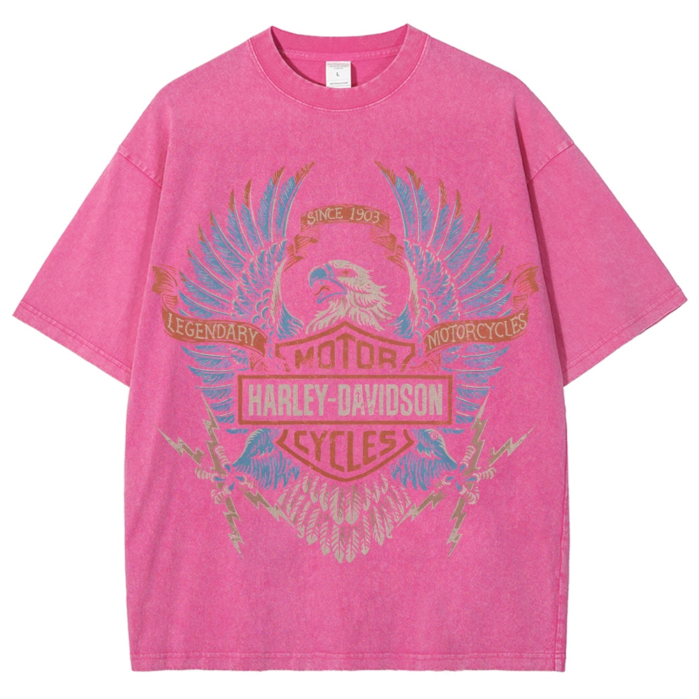 Unisex Fit Washed T-Shirt HARLEY DAVIDSON ELECTRIC EAGLE 