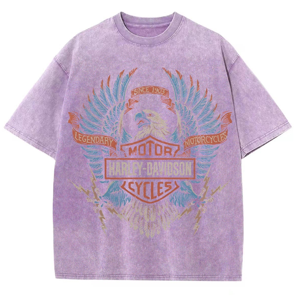 Unisex Fit Washed T-Shirt HARLEY DAVIDSON ELECTRIC EAGLE 