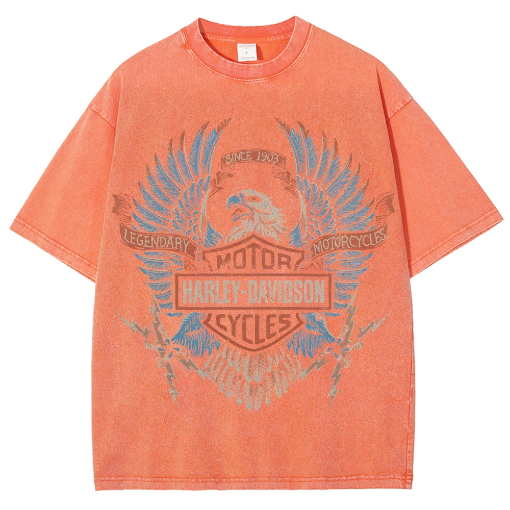 Unisex Fit Washed T-Shirt HARLEY DAVIDSON ELECTRIC EAGLE 