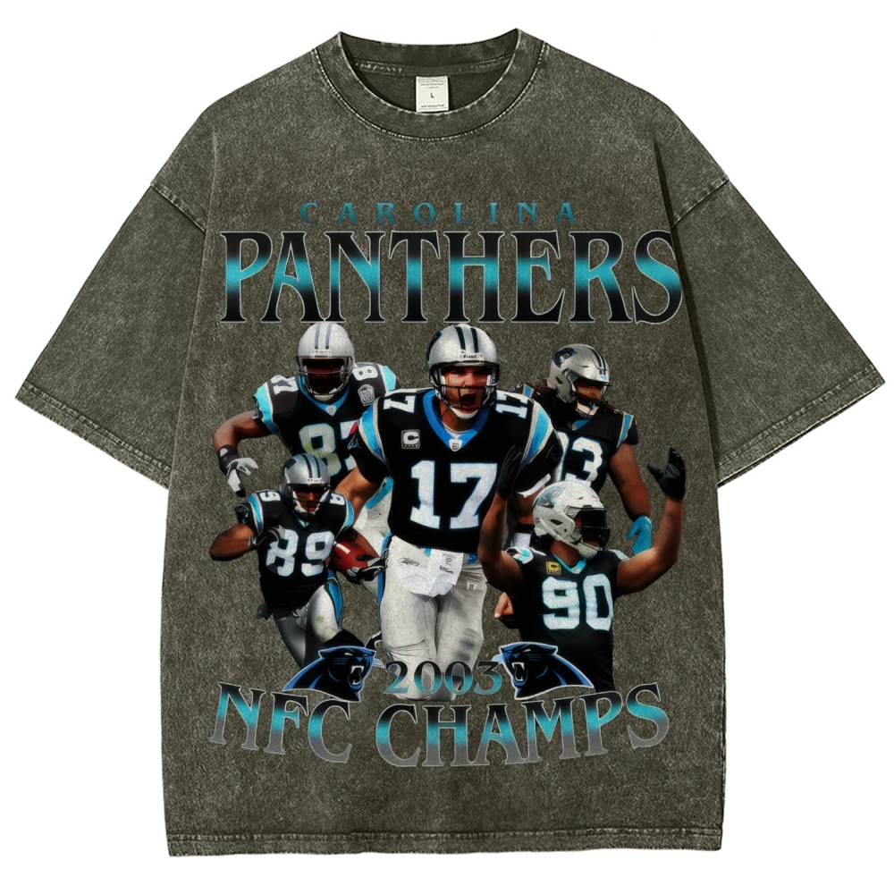 Unisex Fit Washed T-Shirt | Carolina Panthers