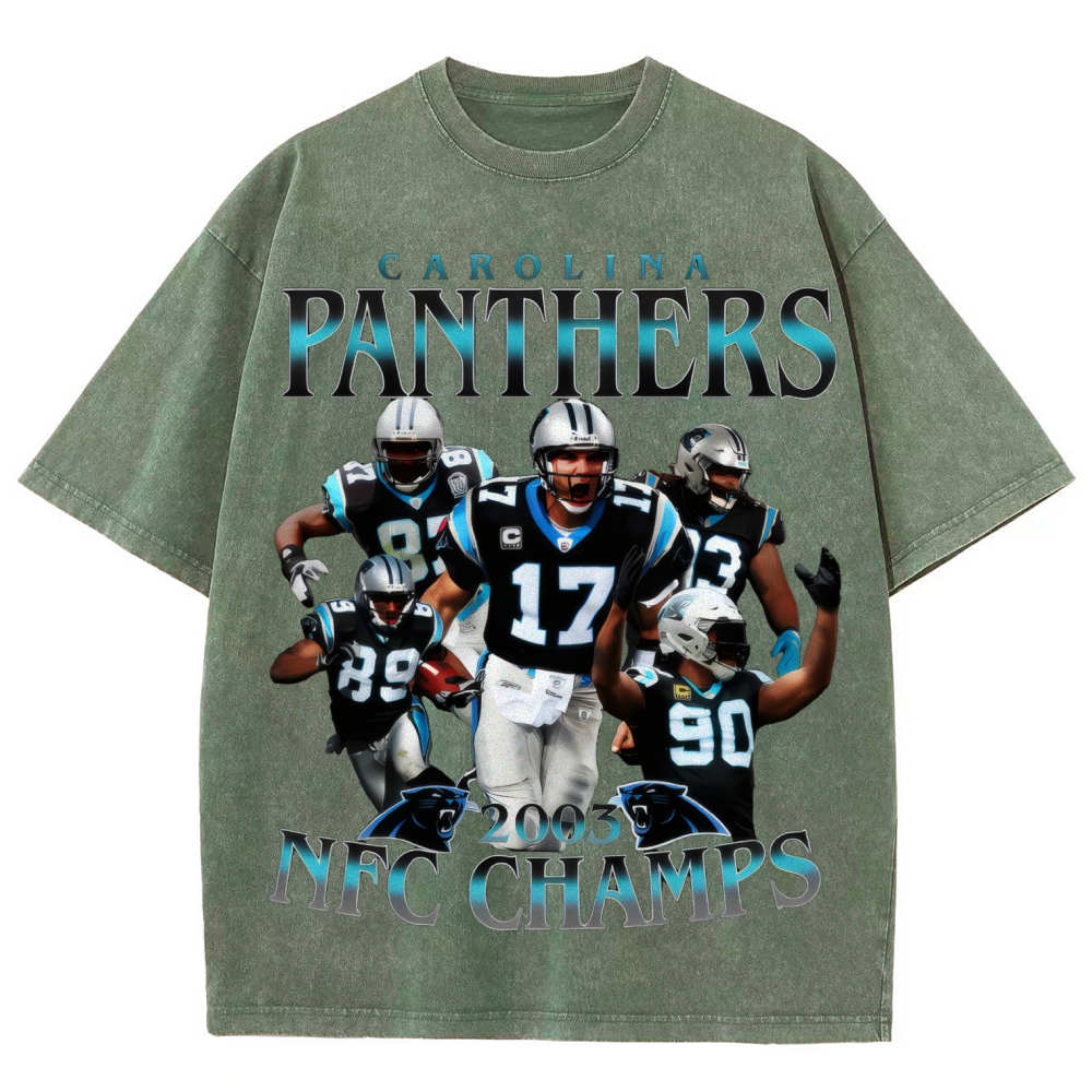 Unisex Fit Washed T-Shirt | Carolina Panthers