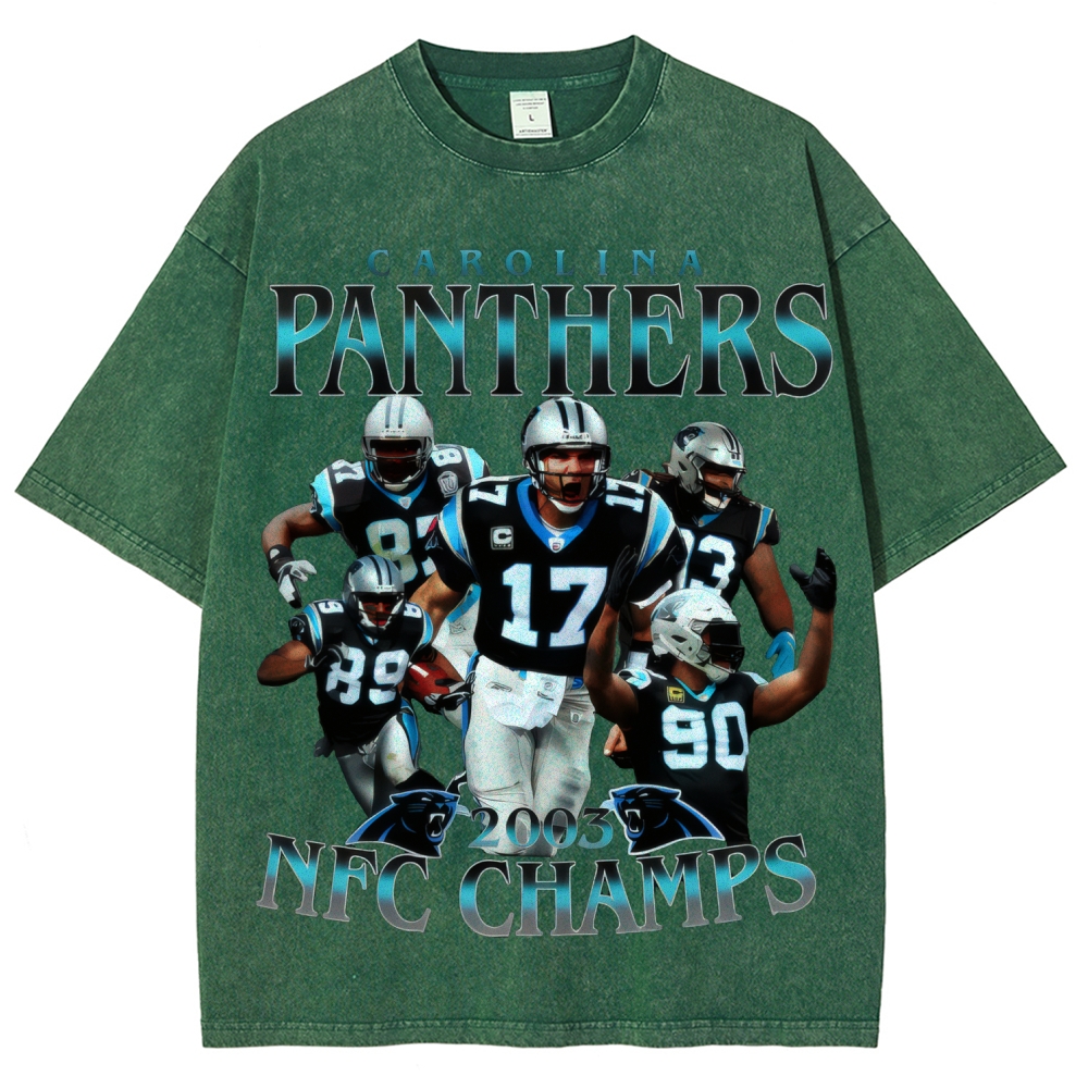 Unisex Fit Washed T-Shirt | Carolina Panthers