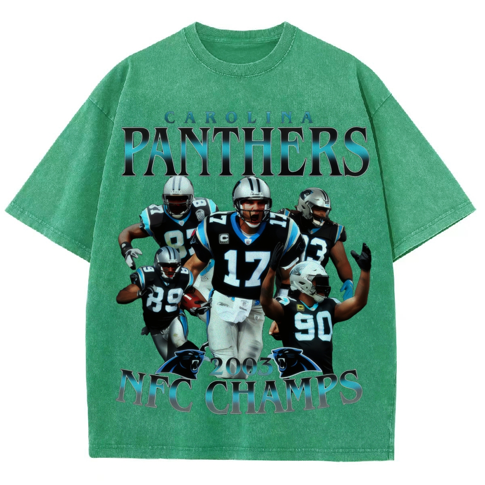 Unisex Fit Washed T-Shirt | Carolina Panthers