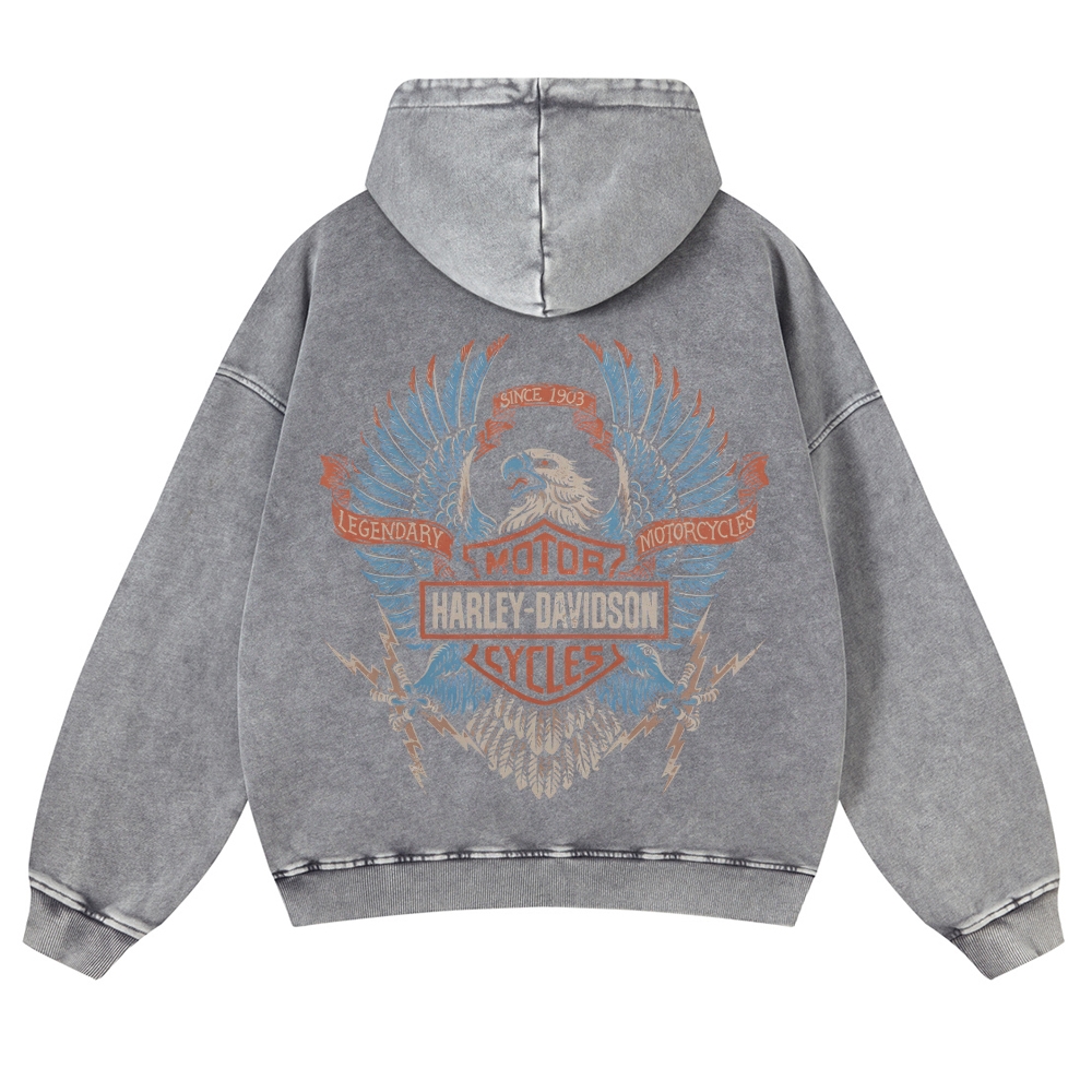 HARLEY DAVIDSON ELECTRIC EAGLE Casual Washed Hoodie 