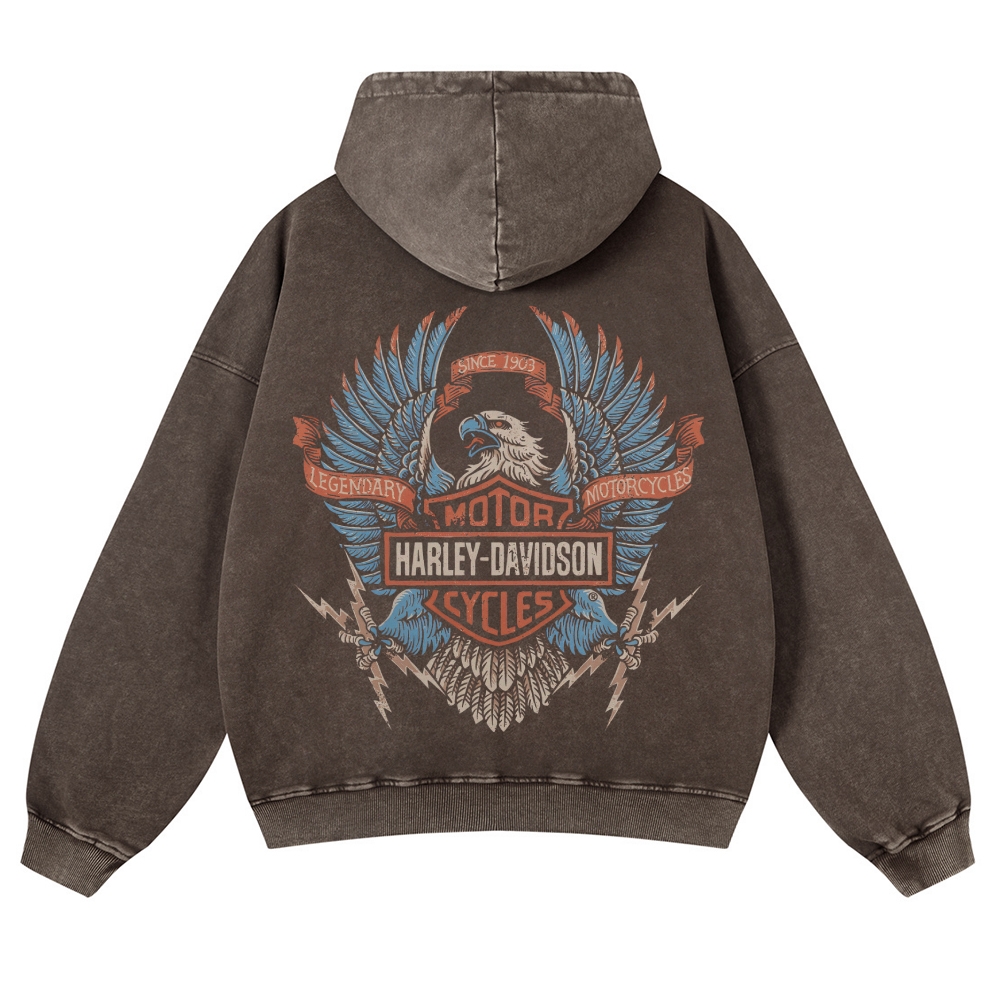 HARLEY DAVIDSON ELECTRIC EAGLE Casual Washed Hoodie 