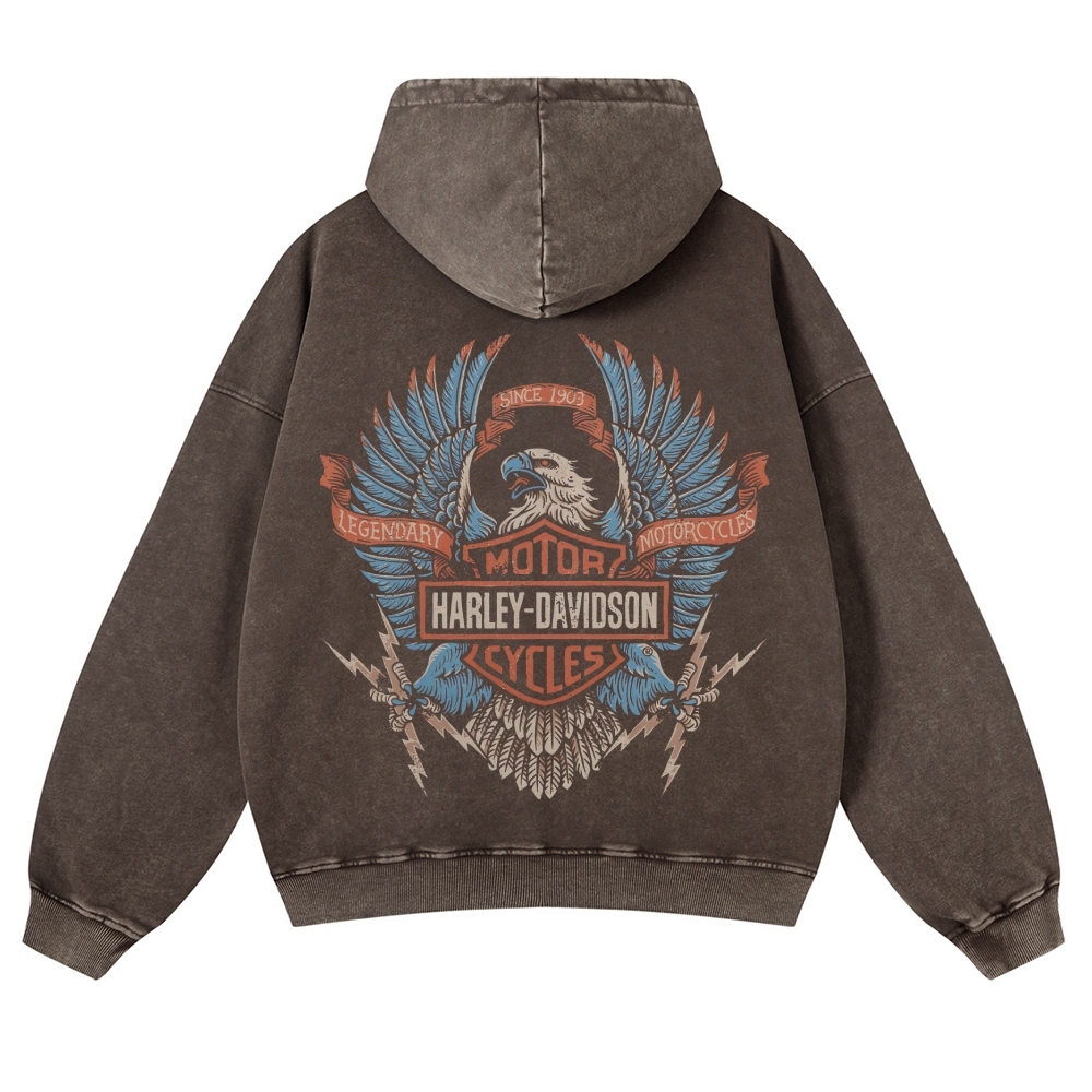 HARLEY DAVIDSON ELECTRIC EAGLE Casual Washed Hoodie 