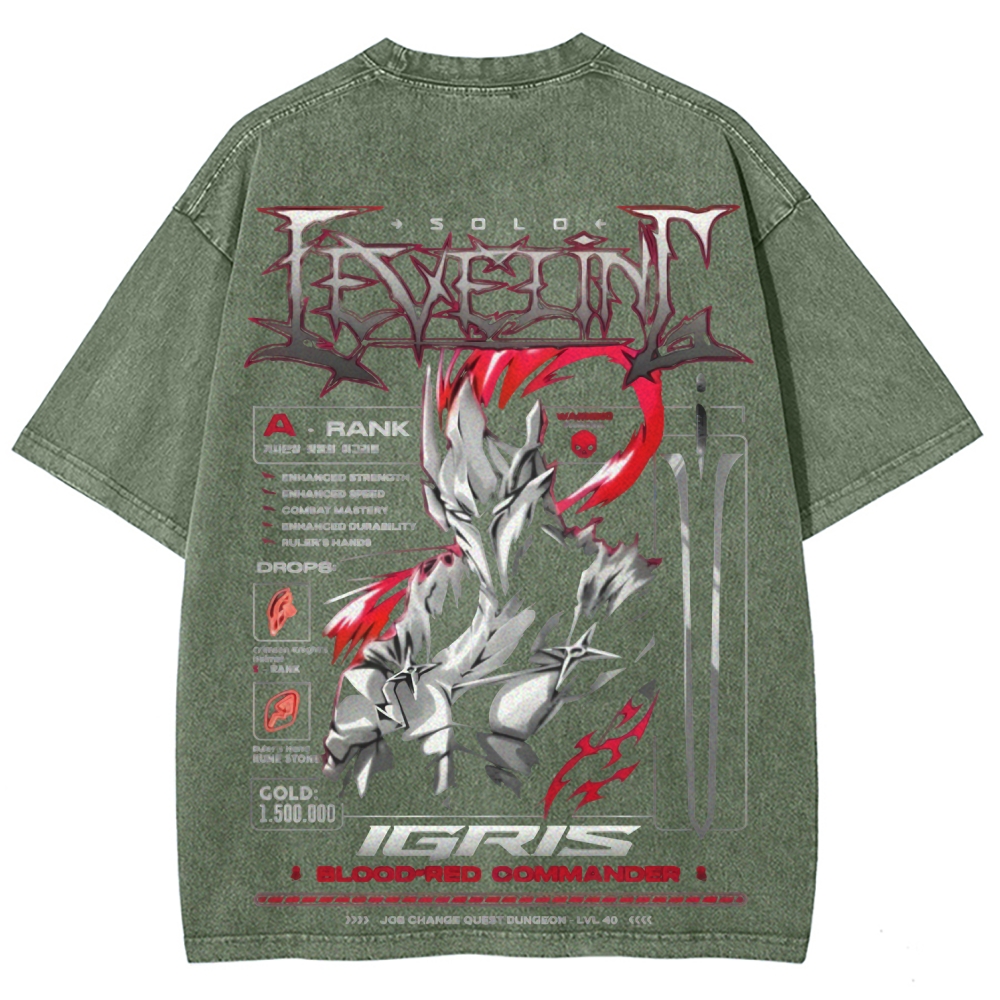 Unisex Fit Washed T-Shirt Solo leveling