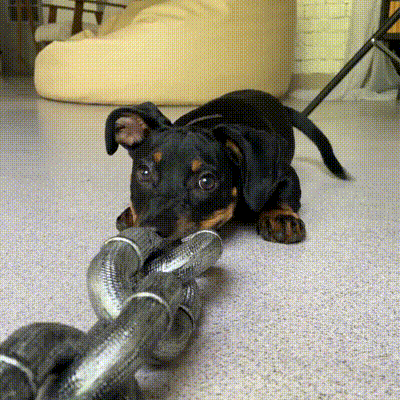 Fake Big Dog Chain Leash