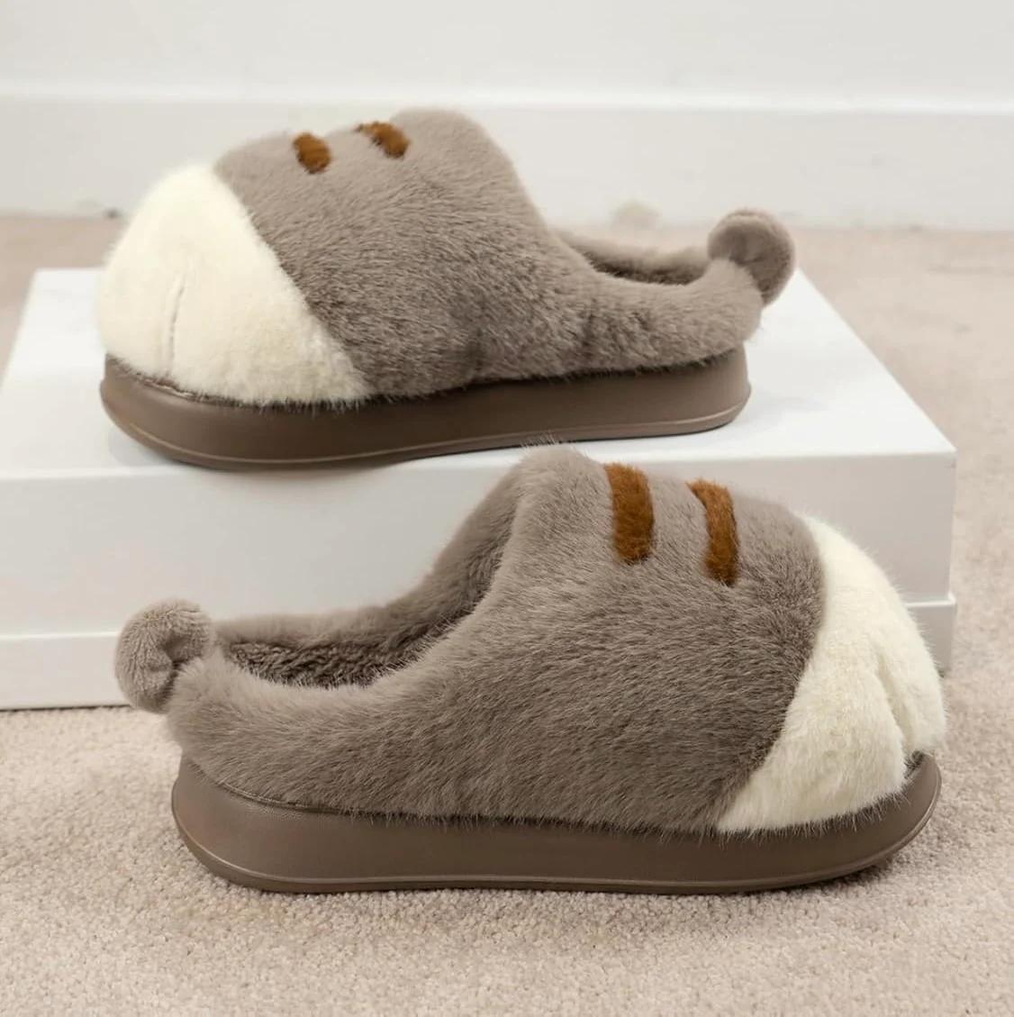 Cat's Paw Slippers