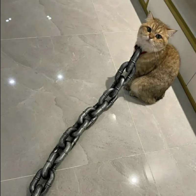 Fake Big Dog Chain Leash