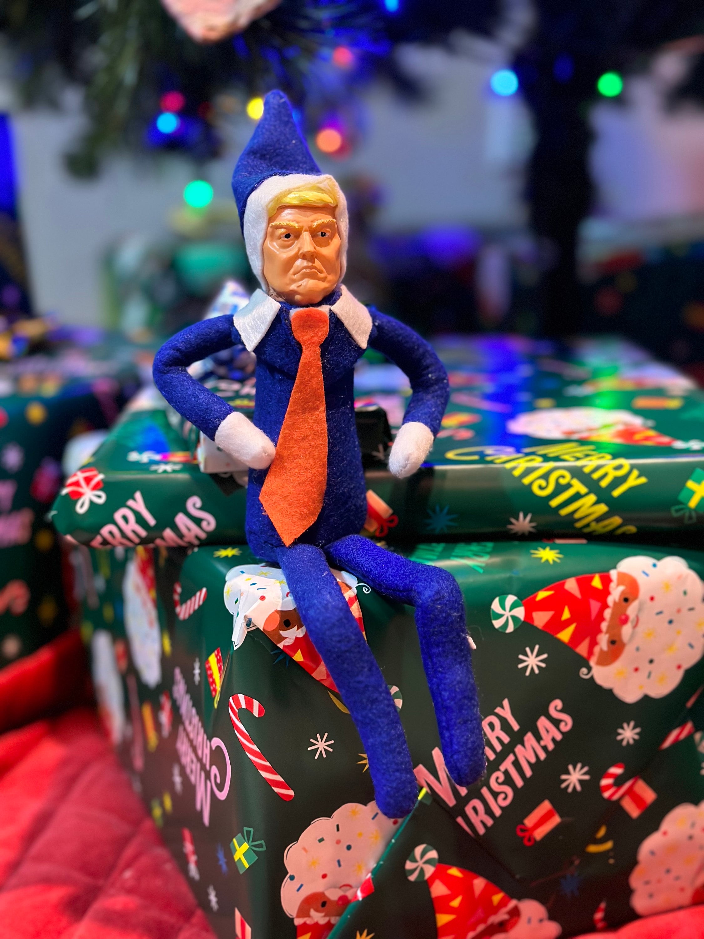 2024 Christmas Elf on the Tree Stump
