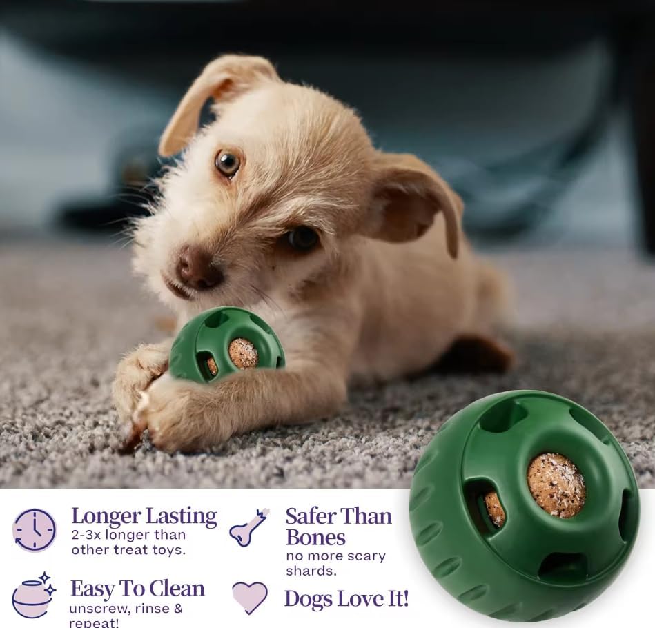 Dog Chew Toys
