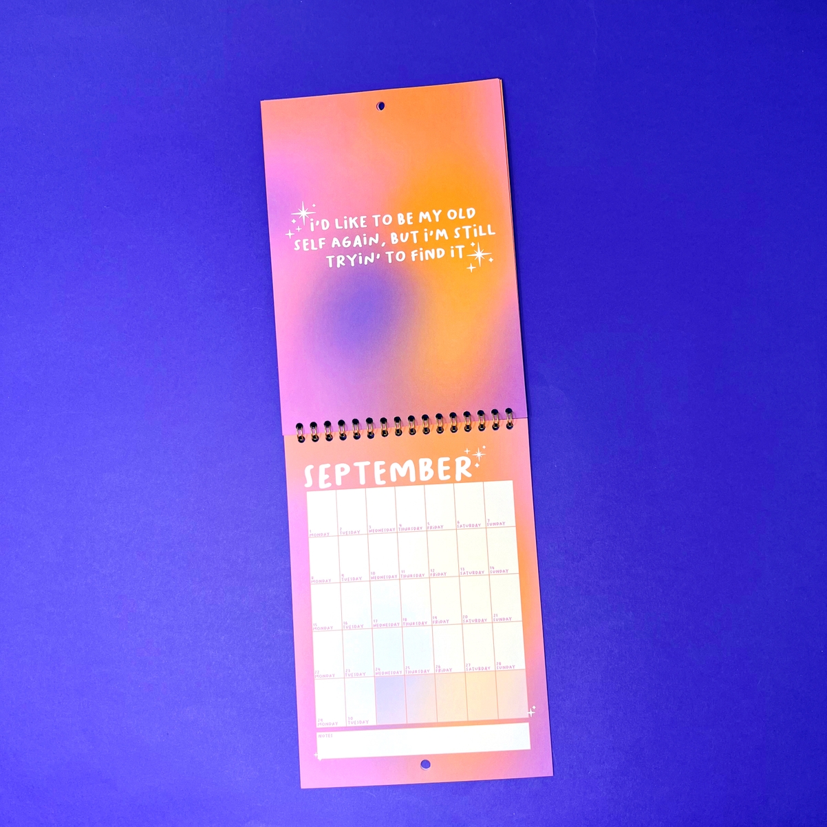 2025 A5 Taylor Swift Lyrics Wall Calendar