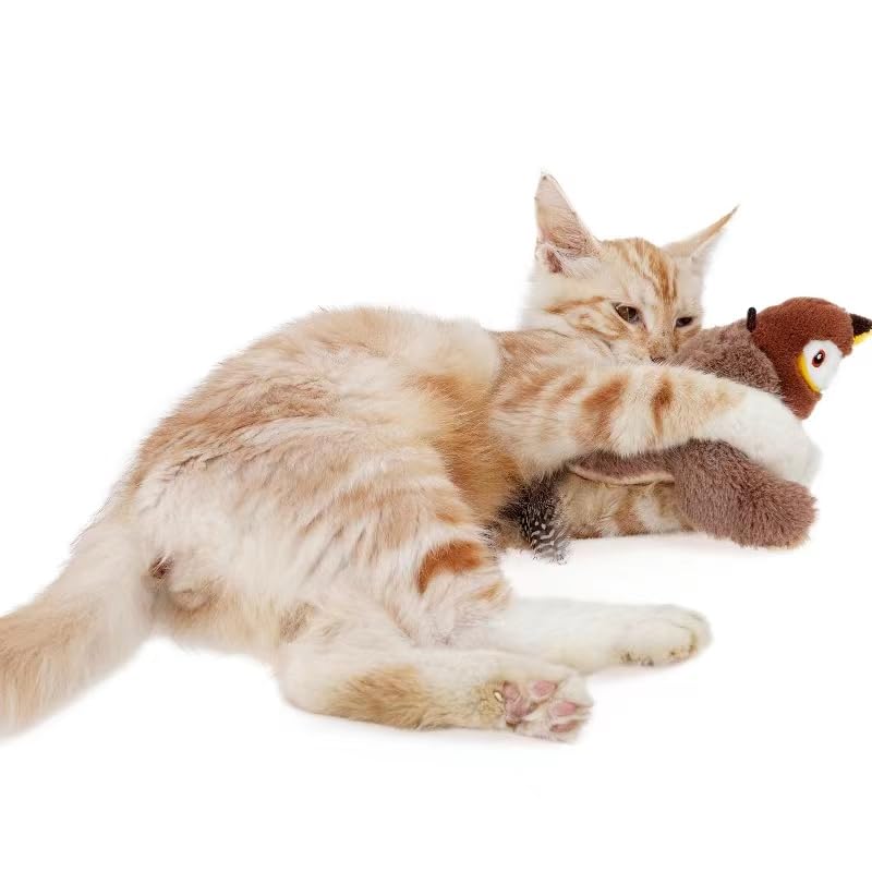 Cute Sparrow Interactive Cat Toy