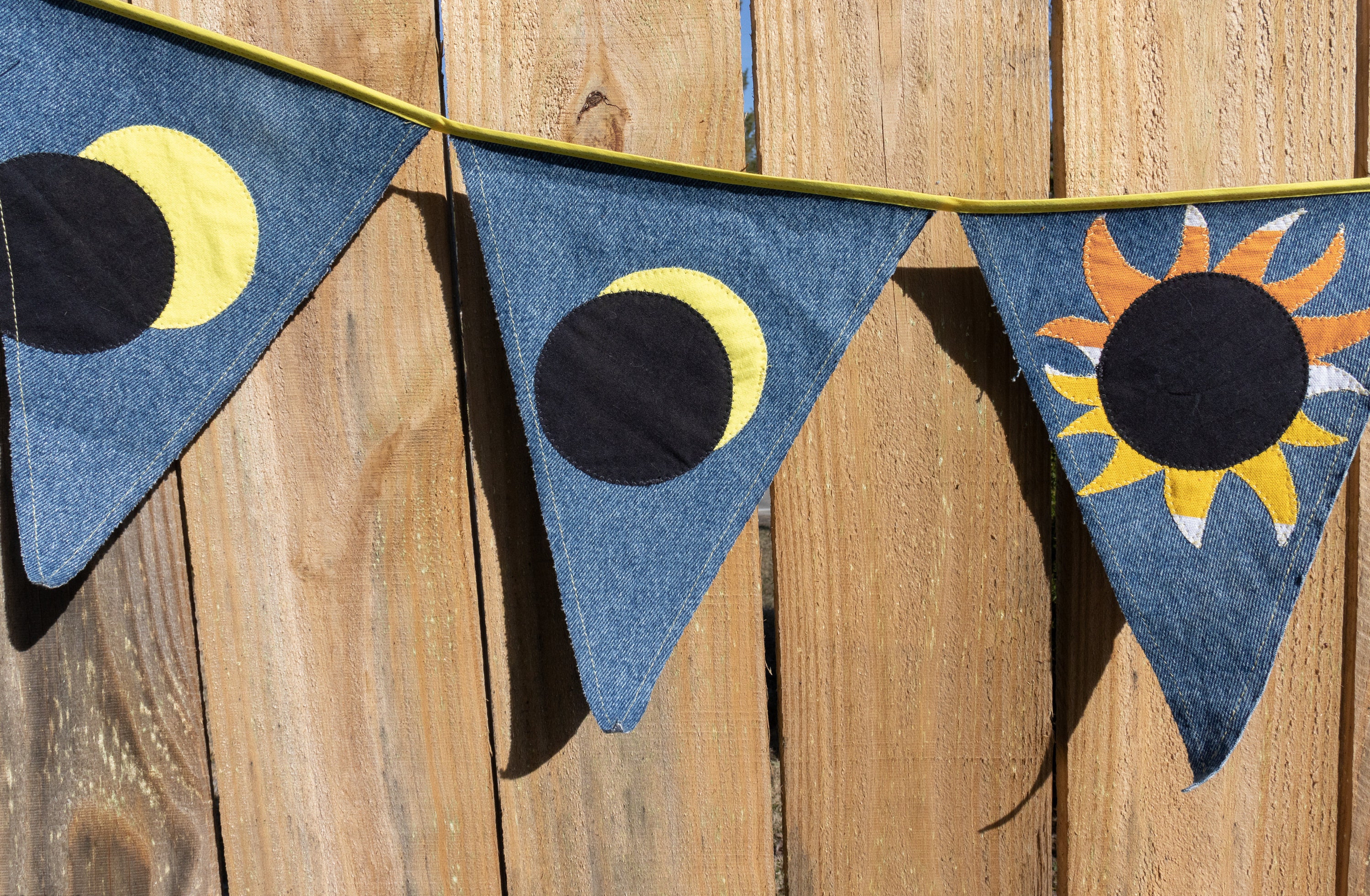 Total Solar Eclipse Bunting
