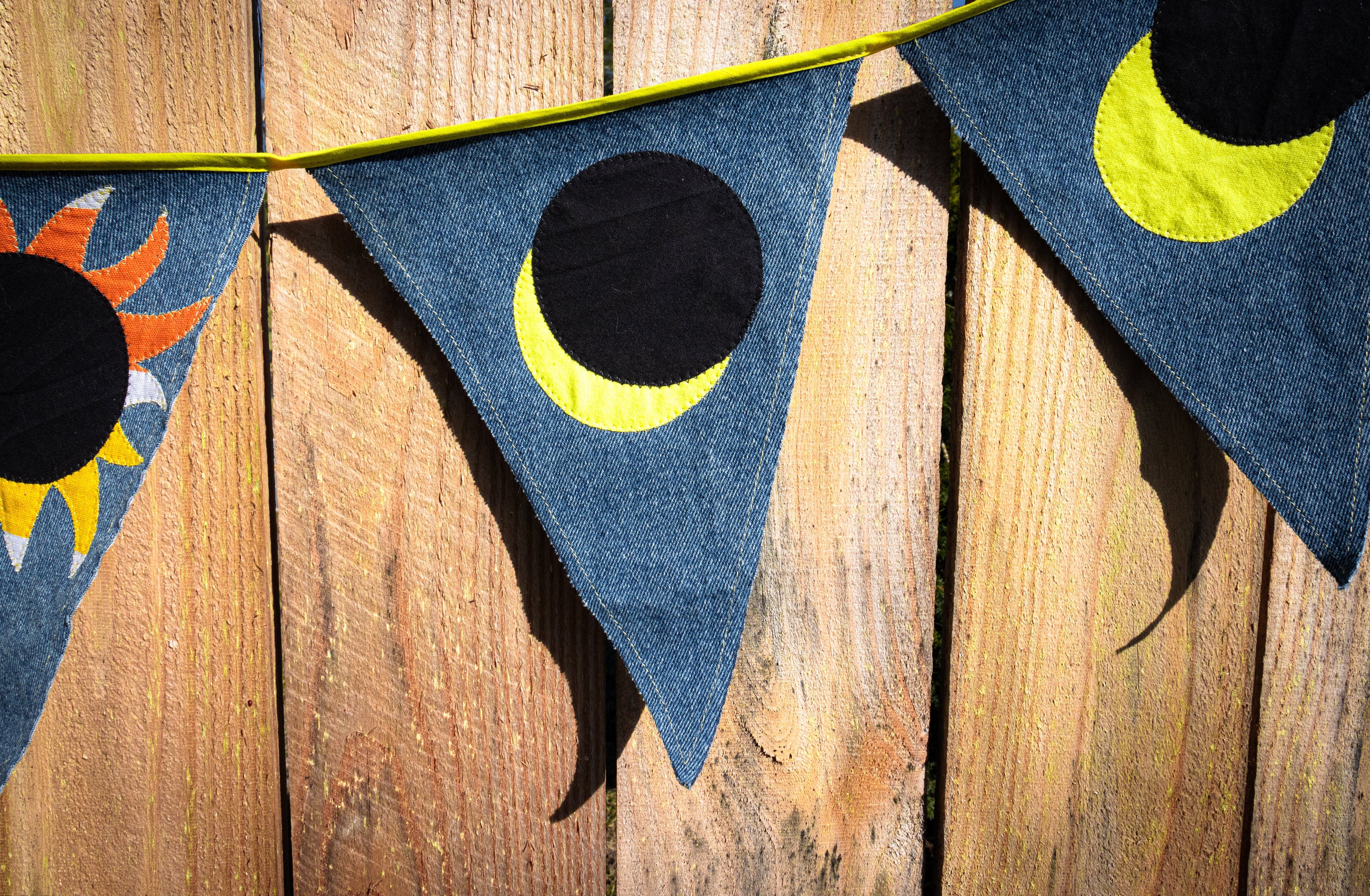 Total Solar Eclipse Bunting