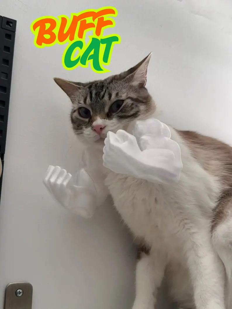 Muscle Arms for Cat