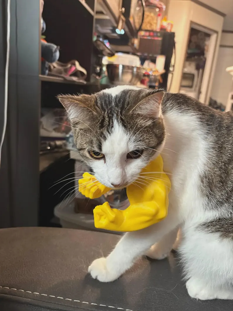 Muscle Arms for Cat