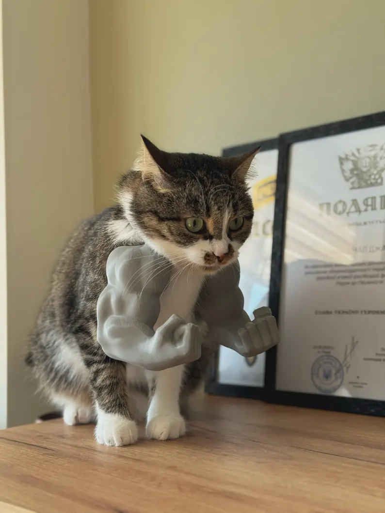 Muscle Arms for Cat