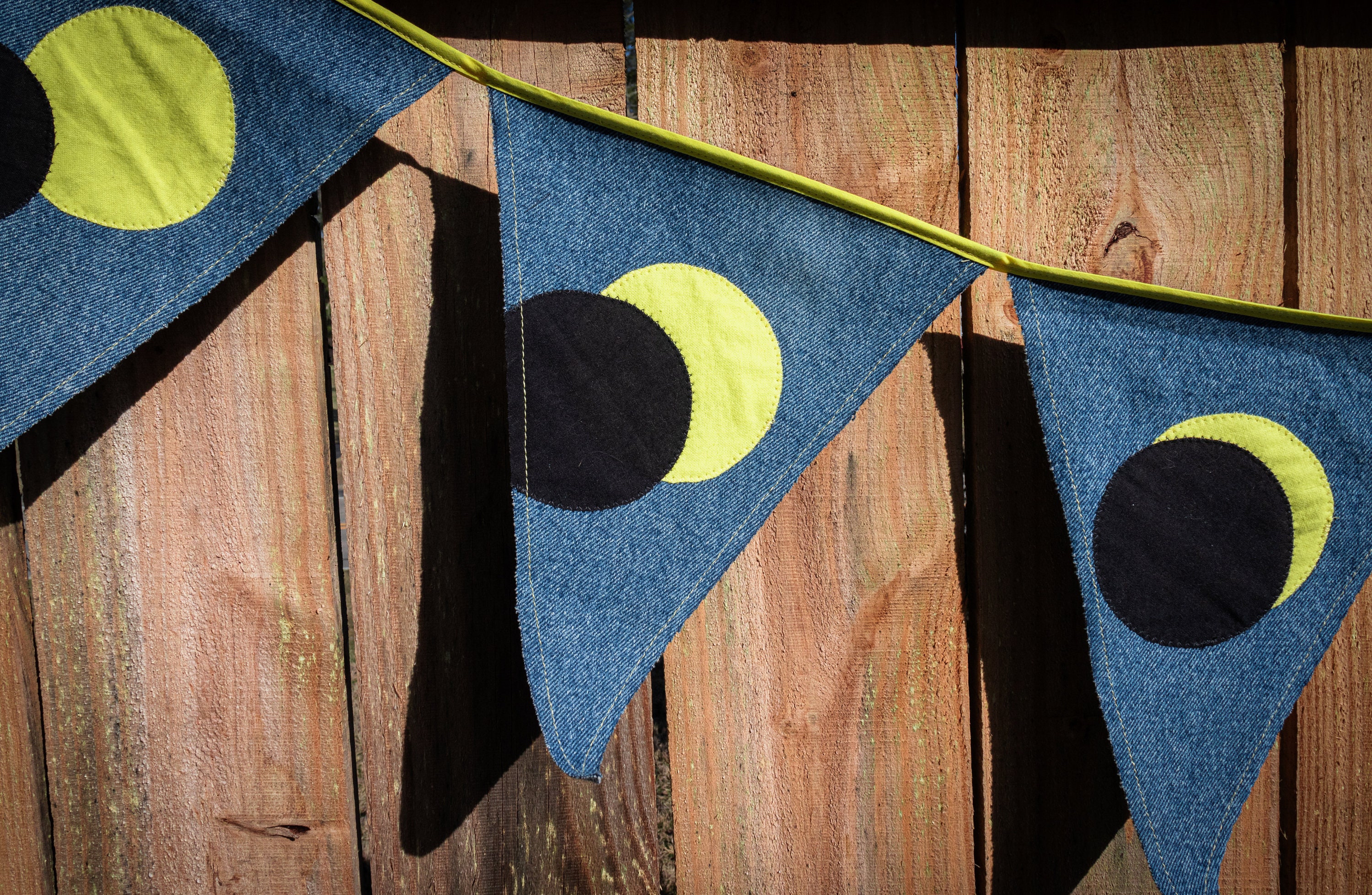 Total Solar Eclipse Bunting