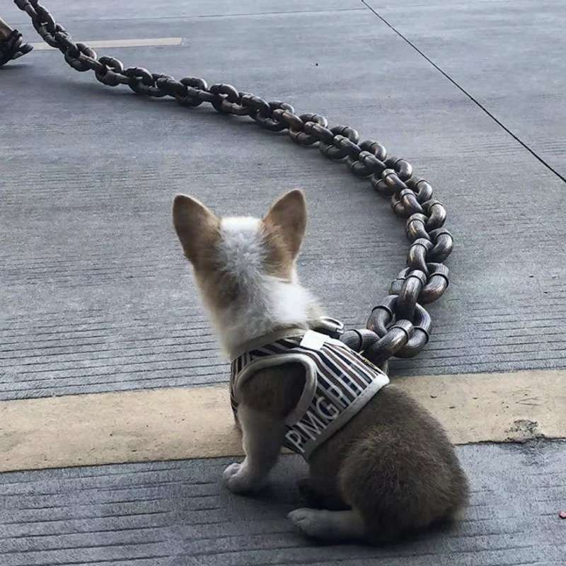 Fake Big Dog Chain Leash