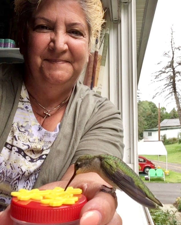 Personal Manual Hummingbird Feeder