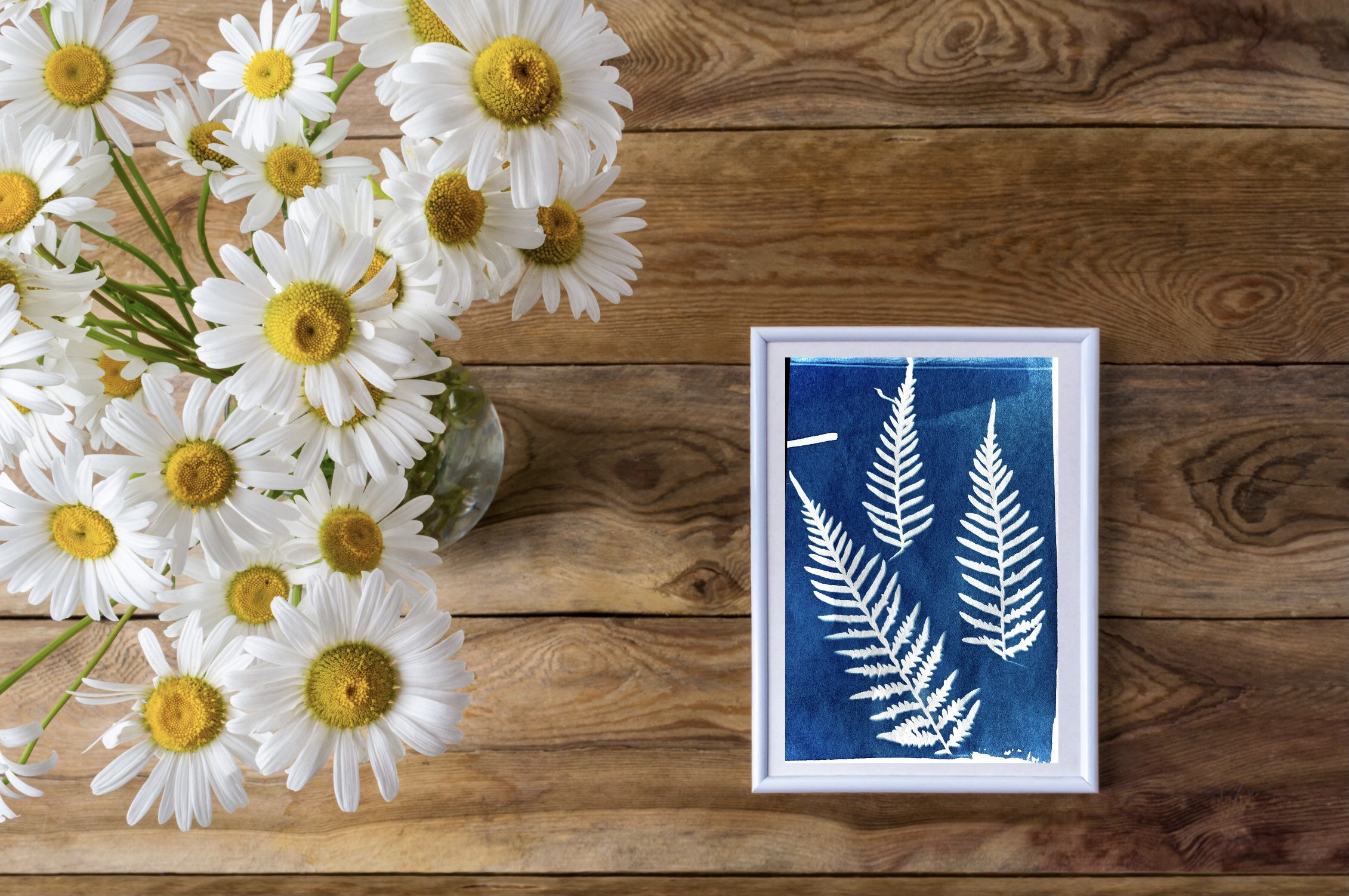 Eco friendly Solar Printing DIY art kit