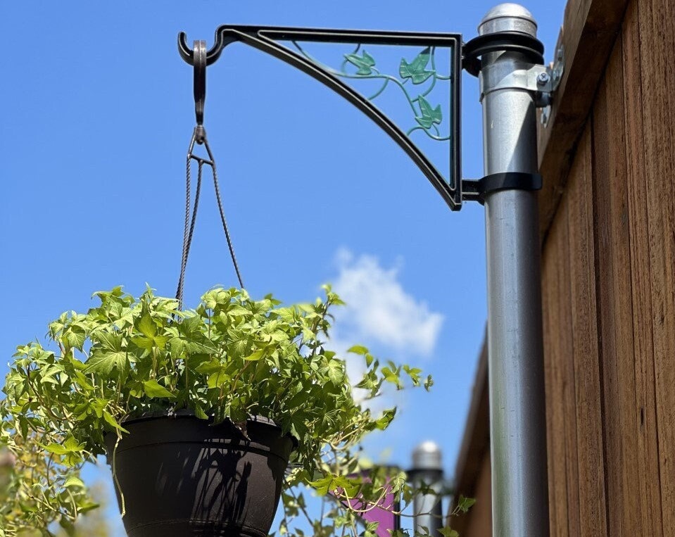 Hangs Fence Post Hanger - Ivy Insert
