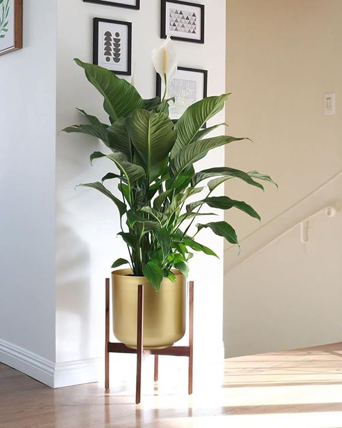 Large Gold Planters Metal Aloe Brass-Tone Plant Pots Indoor Decorative Flower Pots with Drain Holes