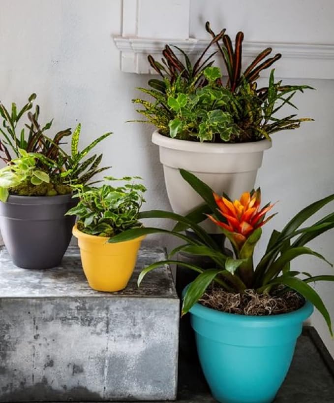8 Inch Caribbean Planter - Lightweight Indoor Outdoor Plastic Plant Po