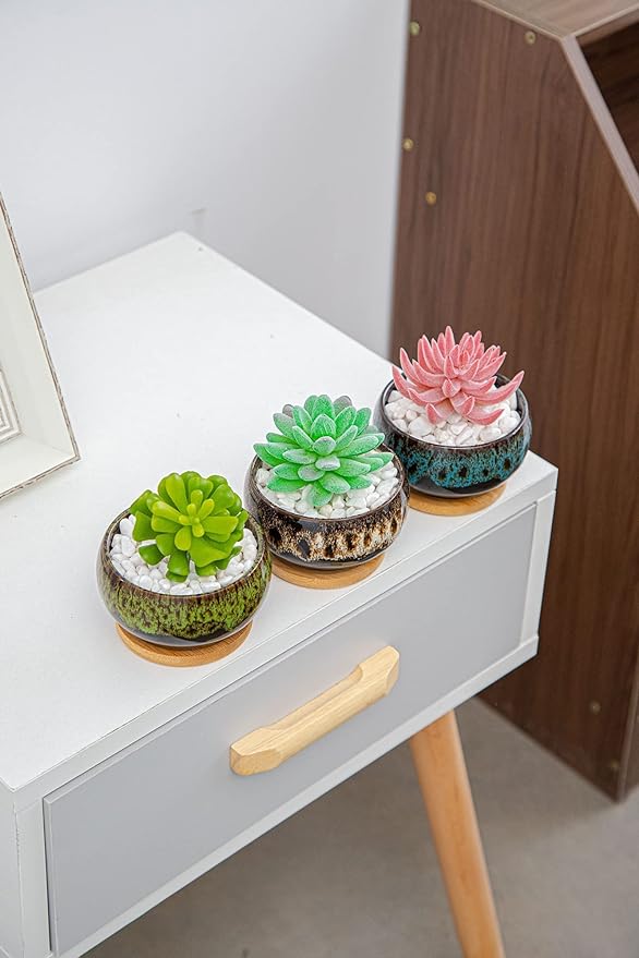Cute Ceramic Succulent Garden Pots, Planter with Drainage and Attached Saucer, Set of 5 -Plants Not Included (Round)